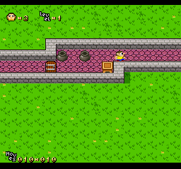 MazezaMSnes200613_ntsc_004